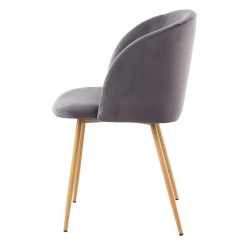 Zwei Esstischstühle in Grau Samt - Antonio (2er Set)^Wohnen