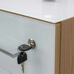 Wohnen Zweifarbiges Set Schreibtisch & Rollcontainer - Laszlo (zweiteilig)